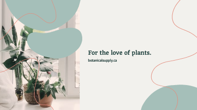 YouTube Banner template