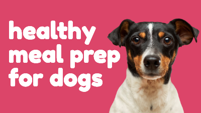 YouTube Thumbnail template