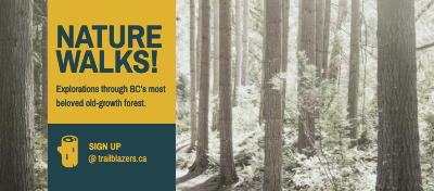 Facebook Cover Photo template