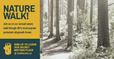 Social Media Graphic template