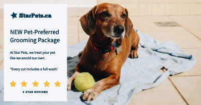 LinkedIn Post template