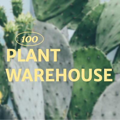 Profile Picture template