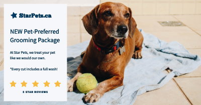 Facebook Ad template