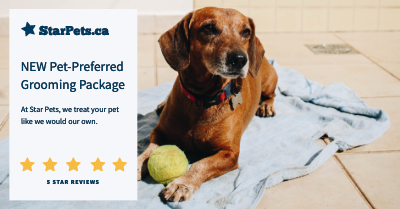 Social Media Graphic template