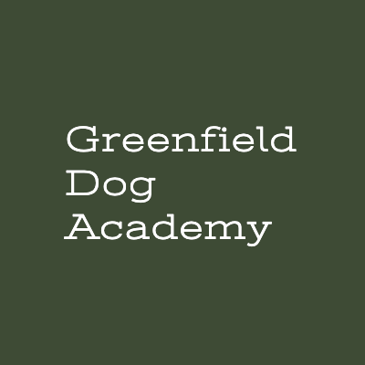 Profile Picture template