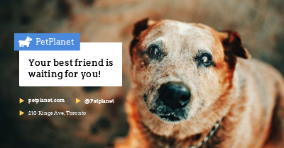 Facebook Group Cover template